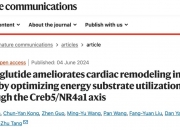 Nature子刊：武汉大学唐其柱团队揭示司美格鲁肽有益心脏健康的机制