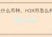 H3X是什么币种，H3X币怎么样？