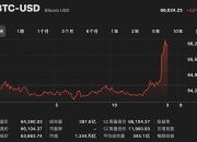 比特币单价触及6.6万美元，破历史新高